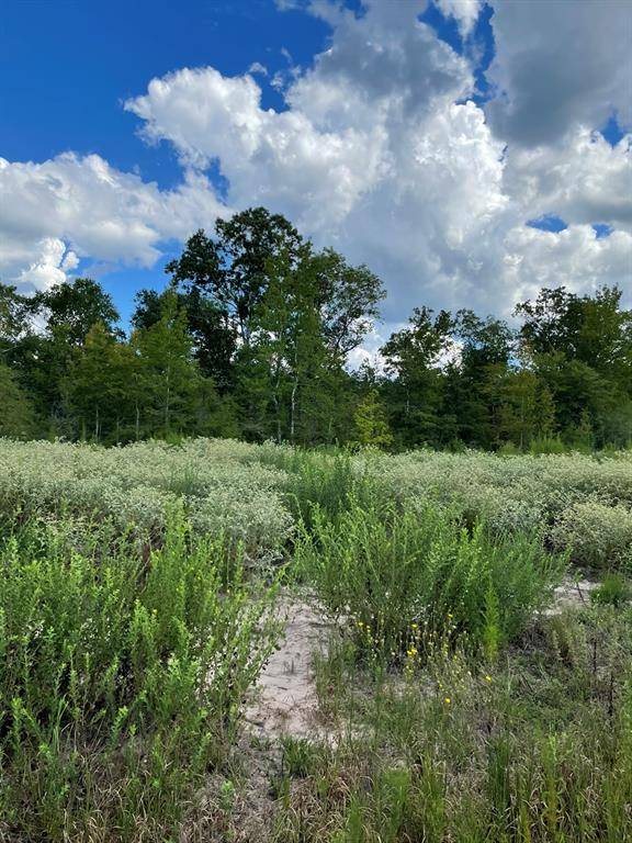 Kennard, TX 75847,000 TBD CR 1165 Tract 2