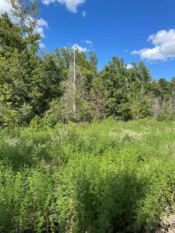 Kennard, TX 75847,000 TBD CR 1165 Tract 2