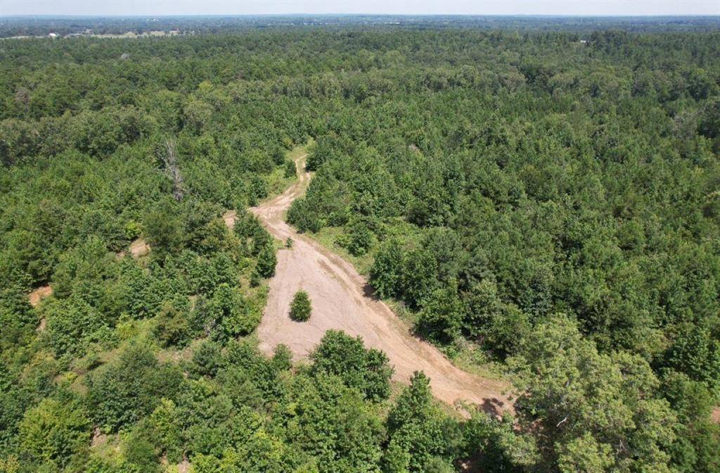 Laneville, TX 75667,TBD County Road 3163