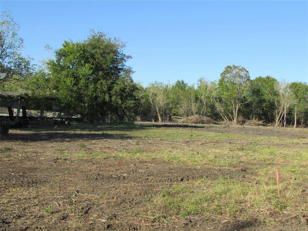 Rosharon, TX 77583,0000 (Lot 65) Bijou Rue