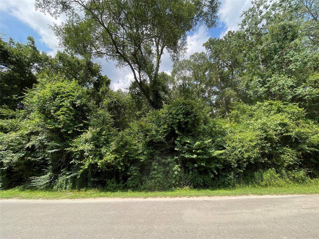 Woodbranch, TX 77357,Lot 182 Maple LN