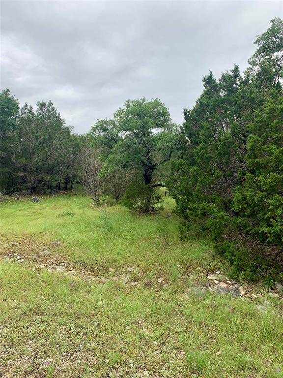 New Braunfels, TX 78132,1455 Happy Hollow DR