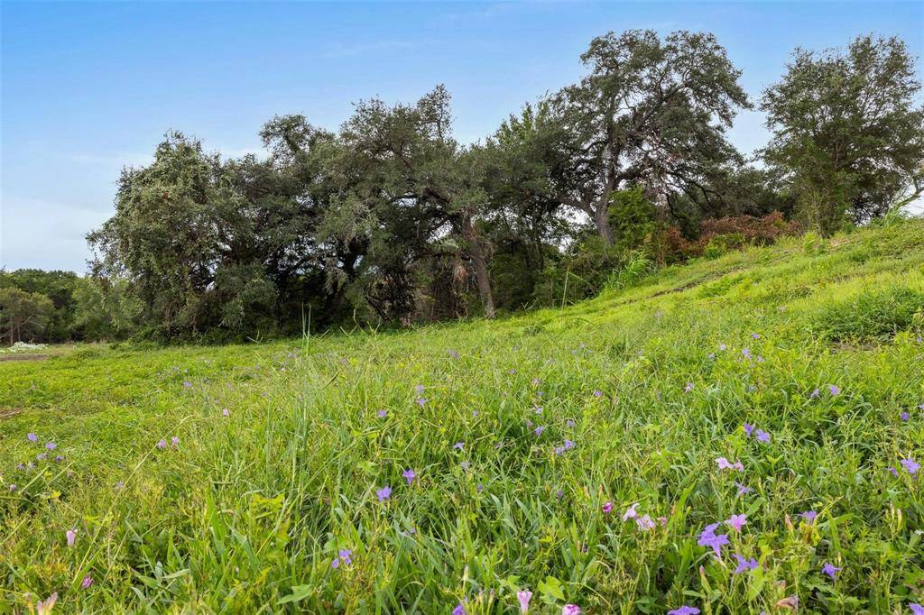 Round Top, TX 78954,TBD Wendy Lane-Lot 14