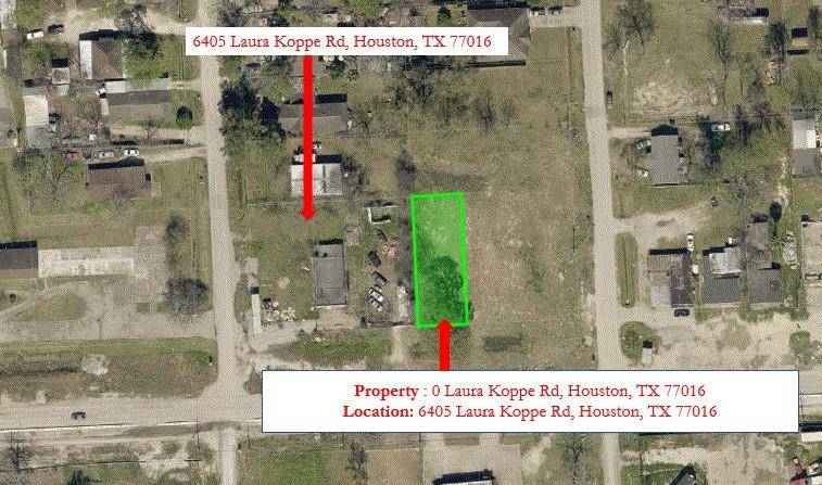 Houston, TX 77016,0 Laura Koppe RD