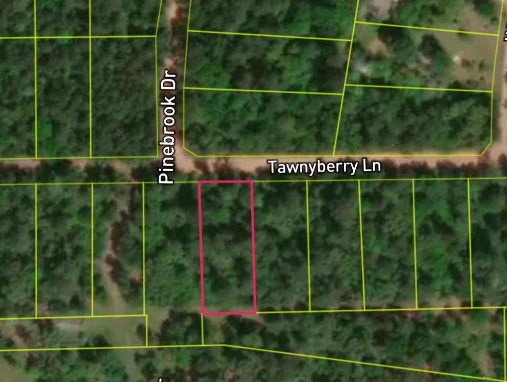 Plantersville, TX 77363,Lot 2 Tawnyberry LN