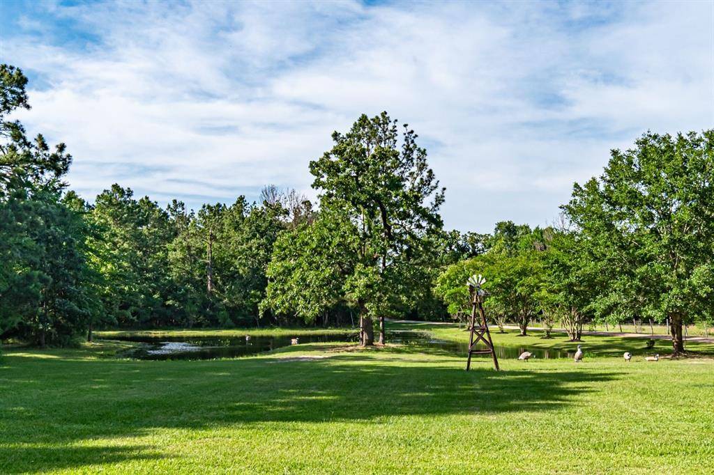 Hockley, TX 77447,27220 Rice RD