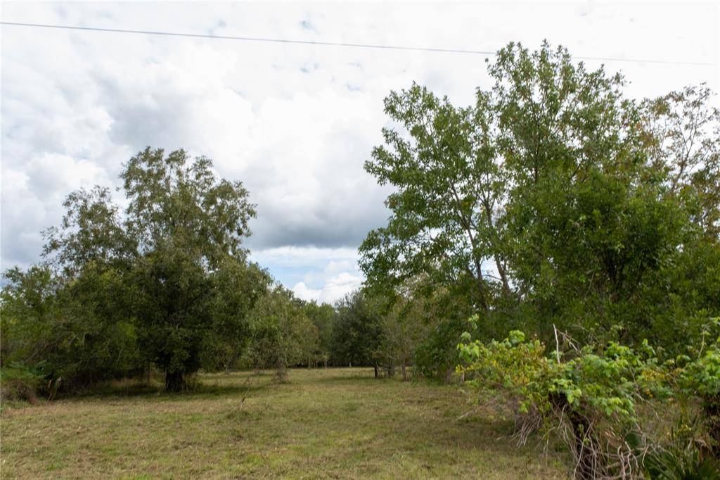 Sweeny, TX 77480,000 Wilson Road Off 743 RD