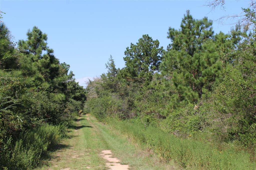 Hempstead, TX 77445,0 Falcon Lane