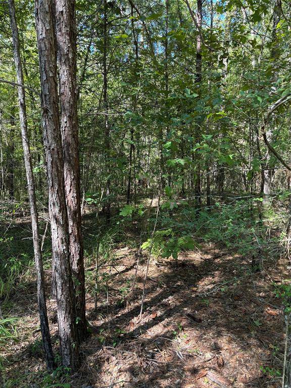 Coldspring, TX 77331,TBD Lot 19 Tall Timbers DR