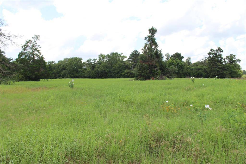 Centerville, TX 75833,000 Private Road 1310