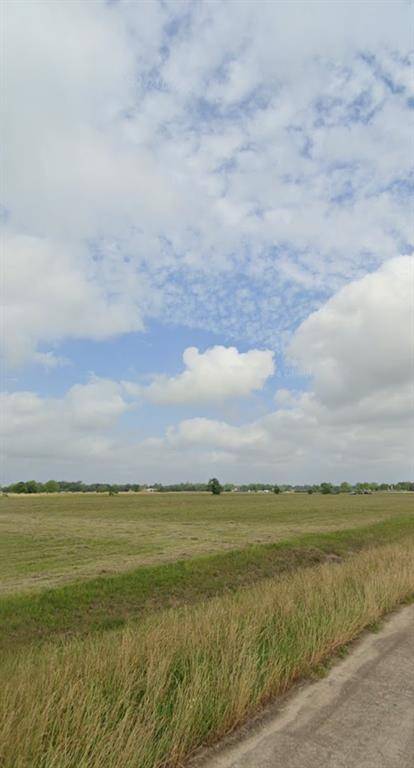 Angleton, TX 77515,208 Brahman TRL