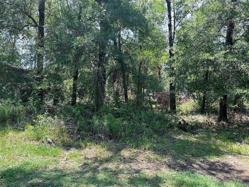 Point Blank, TX 77364,TBD Belize DR