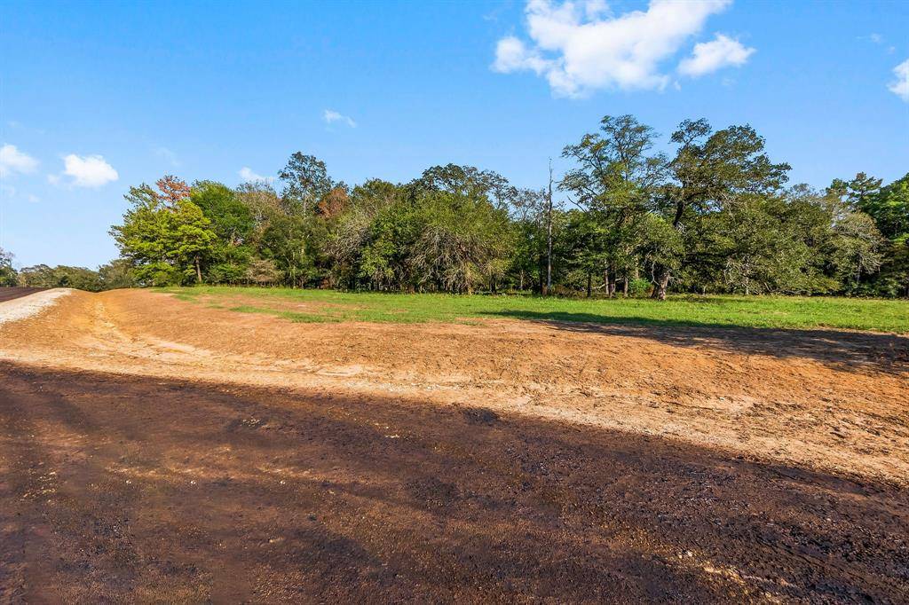 New Waverly, TX 77358,Lot 10 Alans Memorial Lane