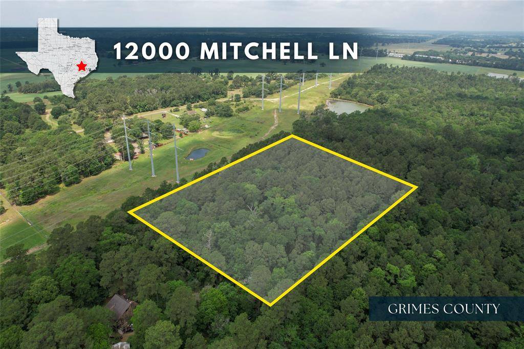 Plantersville, TX 77363,12000 Mitchell LN