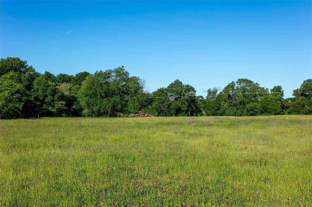 Caldwell, TX 77836,Lot 4B Brazos CT