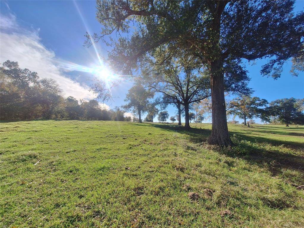 Washington, TX 77880,Tbd Sweed LOT 4 RD