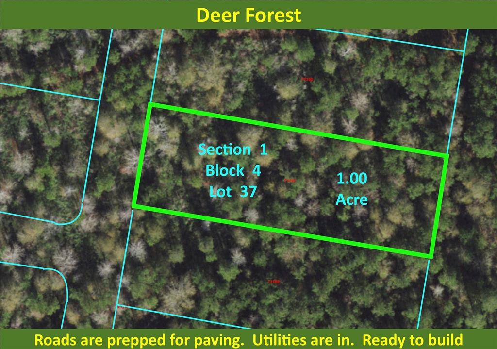 New Waverly, TX 77358,1-4-37 Exploration RD