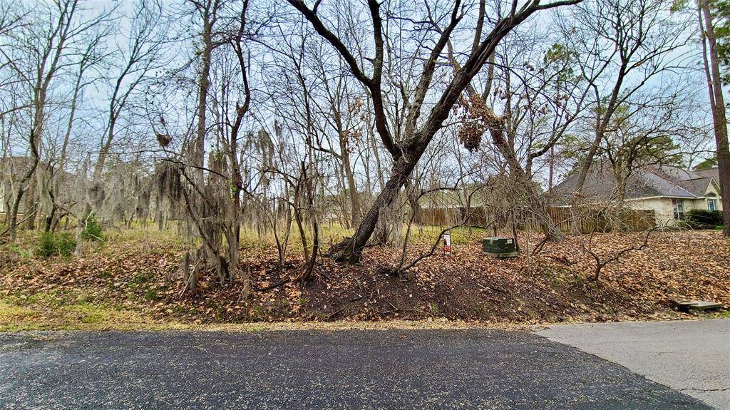 Coldspring, TX 77331,150 N Pine Harbour DR