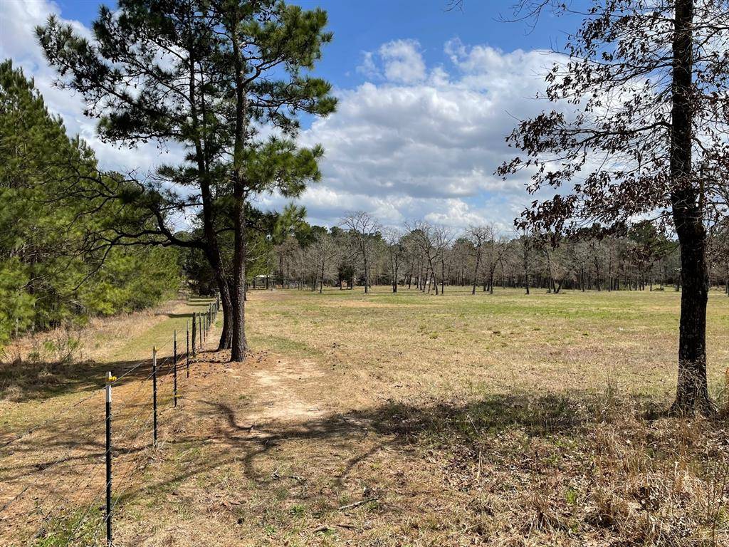 Anderson, TX 77830,Lot 16 Amelia DR