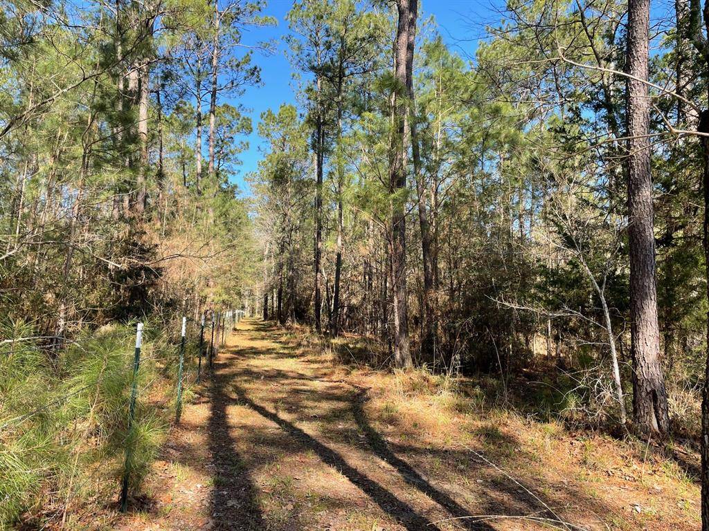 Anderson, TX 77830,Lot 16 Amelia DR