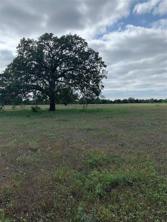 Smithville, TX 78957,TBD Big Sky DR