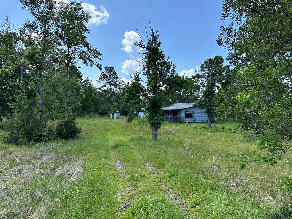 Kountze, TX 77625,2736 Whitetail Forest RD