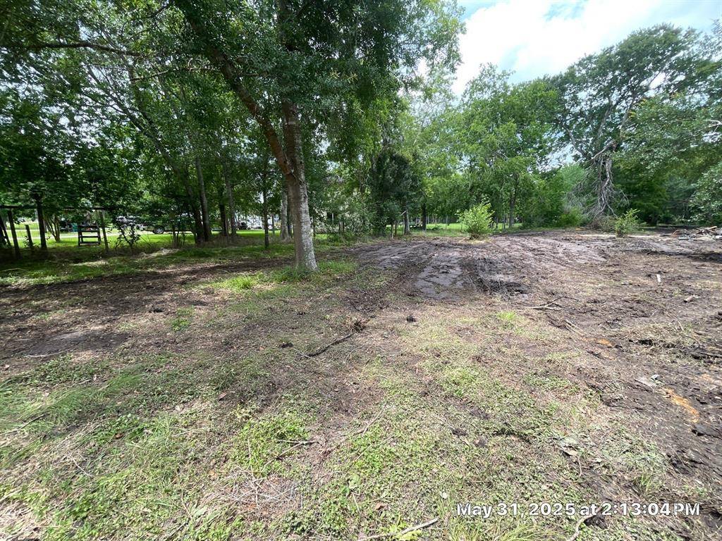 Alvin, TX 77511,10371 County Road 909