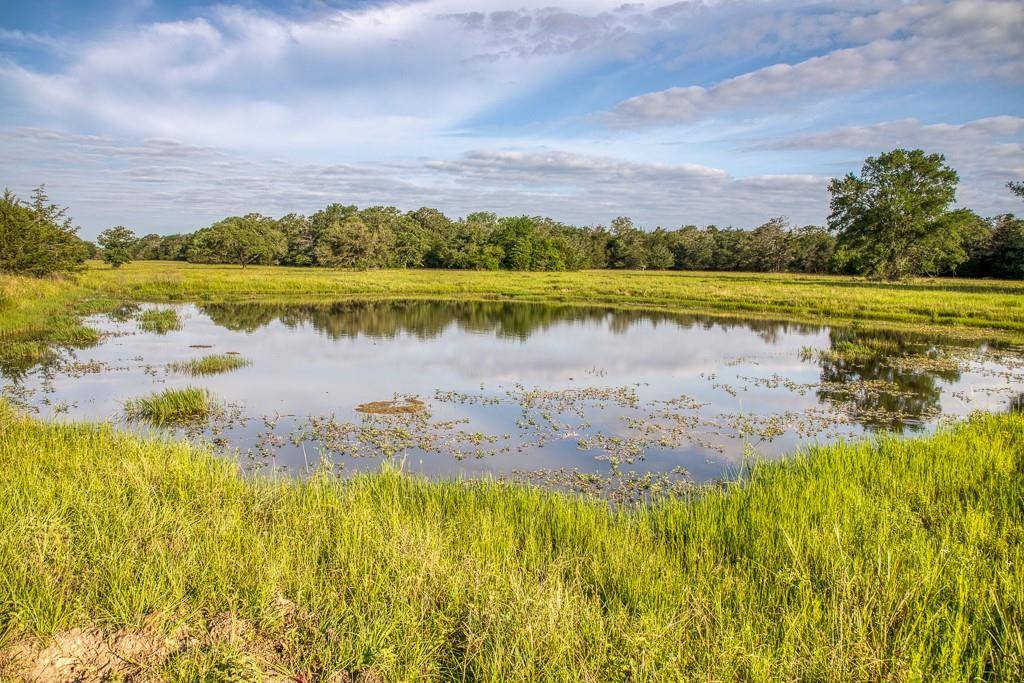 Columbus, TX 78934,1200 Cummins Creek Road