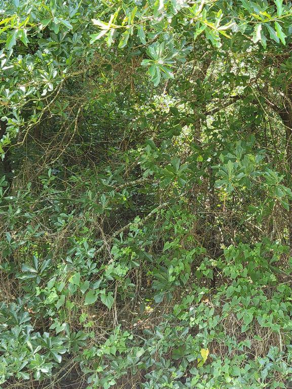 Splendora, TX 77372,27735 Mid Lane