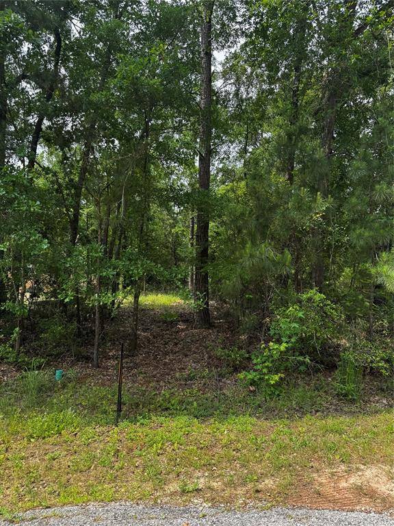 Onalaska, TX 77360,TBD Creekside Hbr
