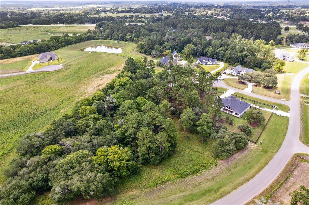 Plantersville, TX 77363,9717 Butler Ranch RD