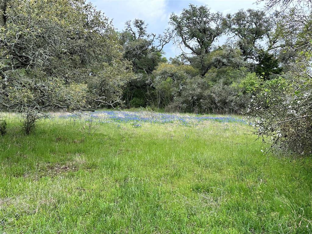 Columbus, TX 78934,TBD County Rd 160 Lot 129