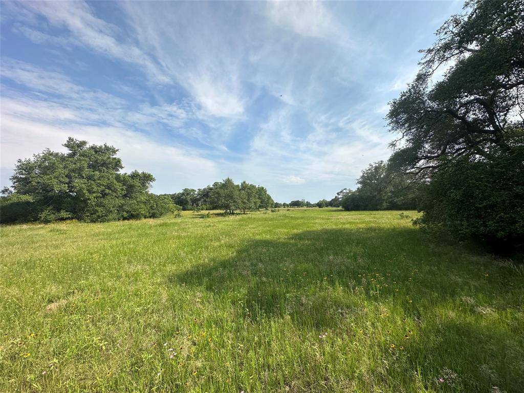 Columbus, TX 78934,TBD County Rd 160 Lot 129