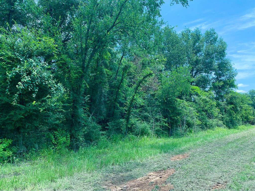 Marquez, TX 77865,TR1 HWY 7