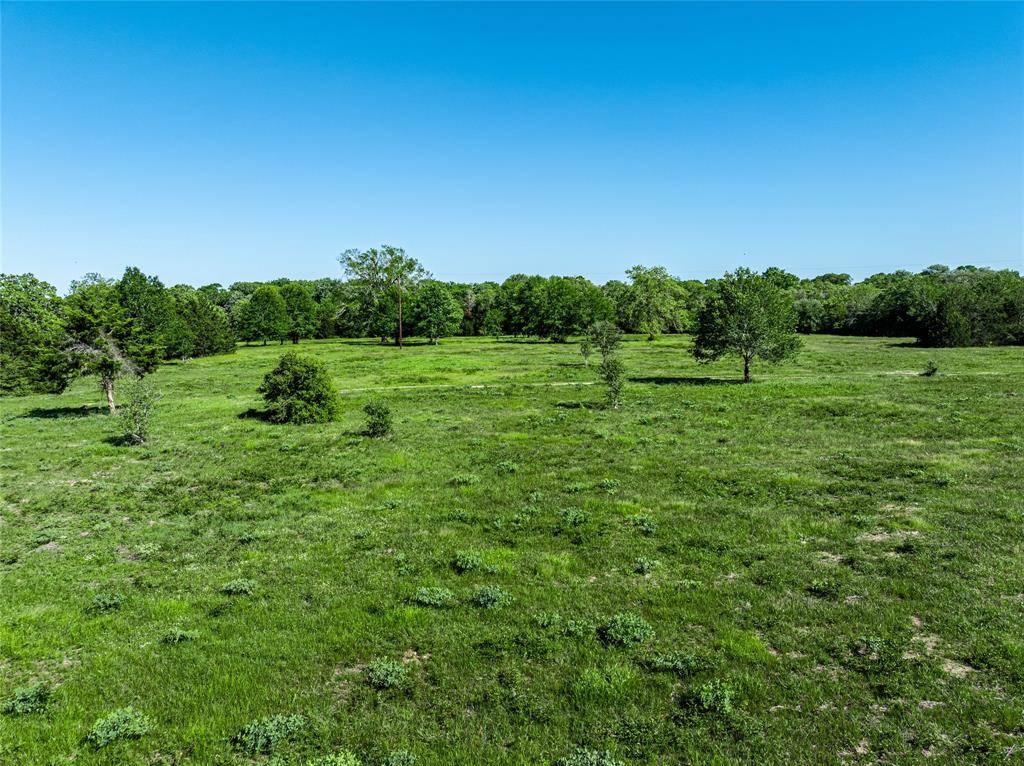 Carmine, TX 78932,TBD Schoenst Road - Tract 5