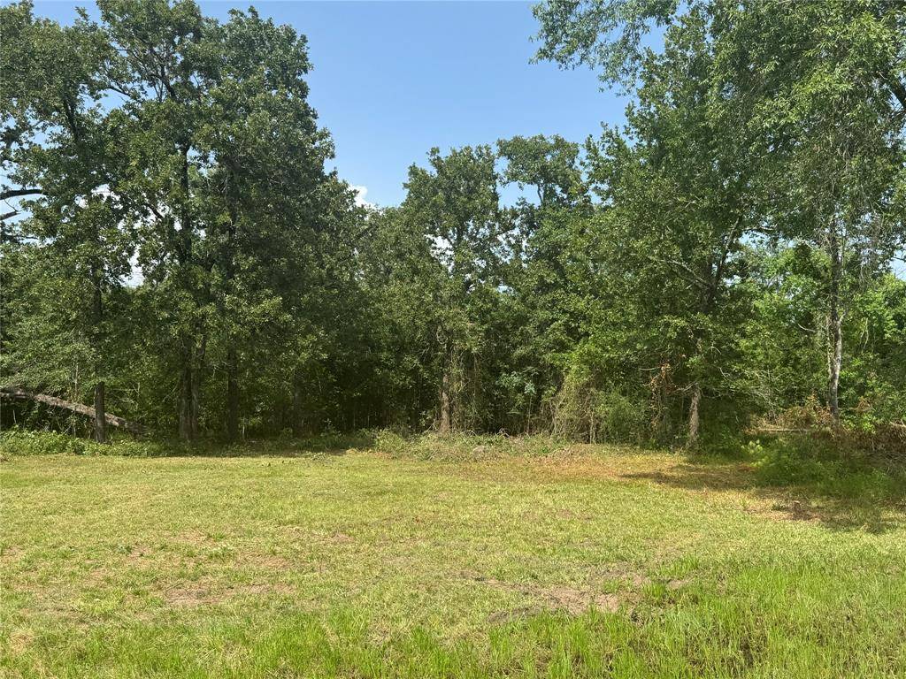 Livingston, TX 77351,TBD Lot 24 Deep Woods LN