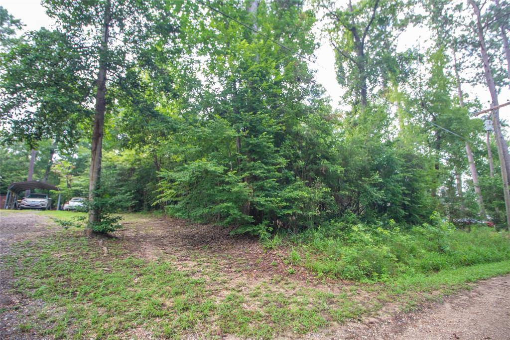 Goodrich, TX 77335,TBD Magnolia RD