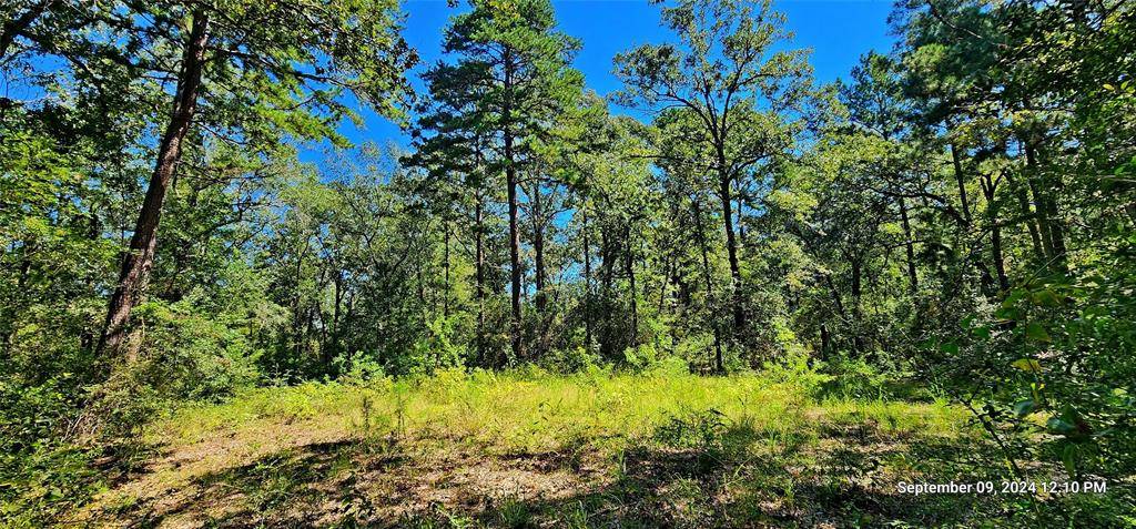 Lufkin, TX 75904,TBD Zed Creek Road