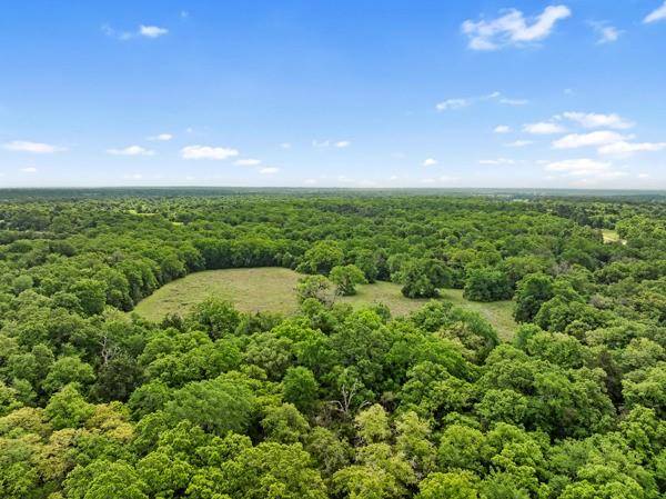 Normangee, TX 77871,00 PR 4460 ST