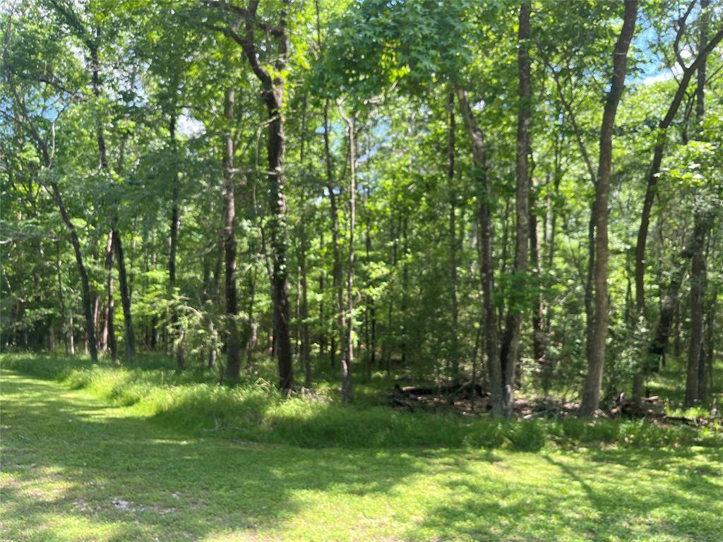 Coldspring, TX 77331,52 S Royale Greens DR