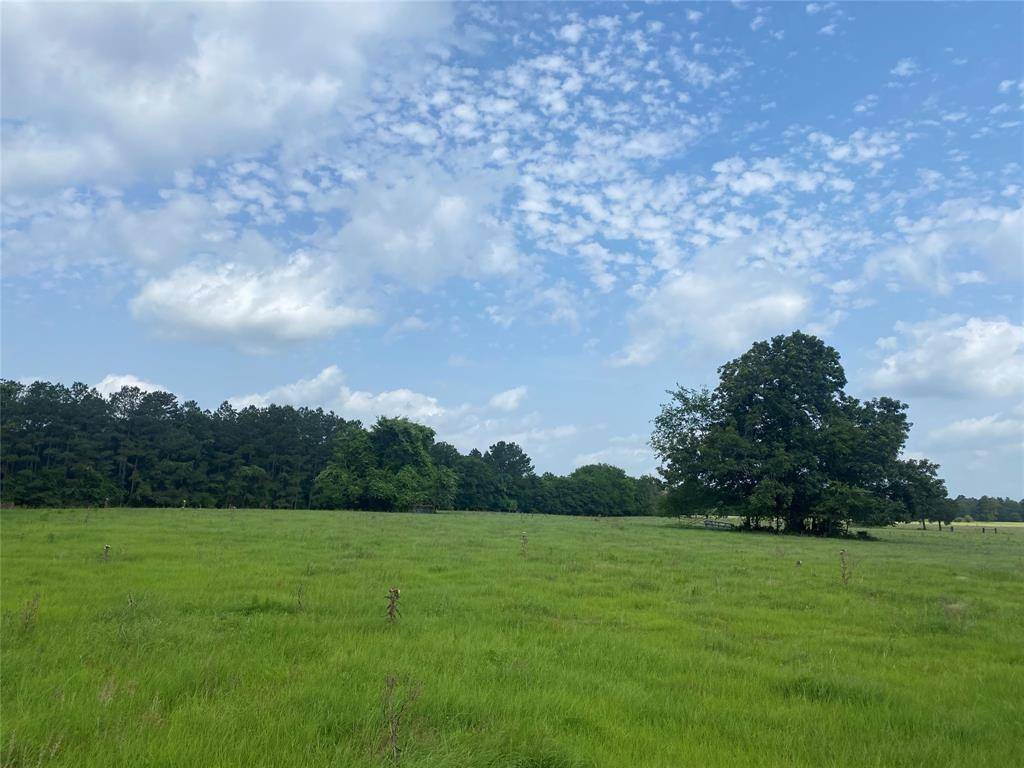 Lovelady, TX 75851,5319 County Road 4200