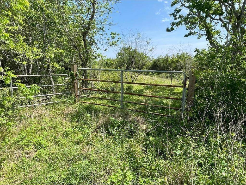 Danbury, TX 77534,0 County Road 203