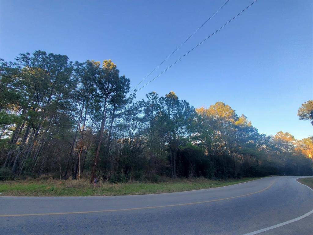 Conroe, TX 77303,1.9 AC Meador Road