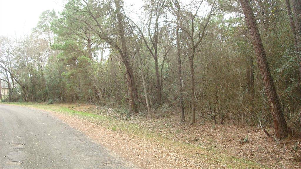 Hockley, TX 77477,25459 Castle LN