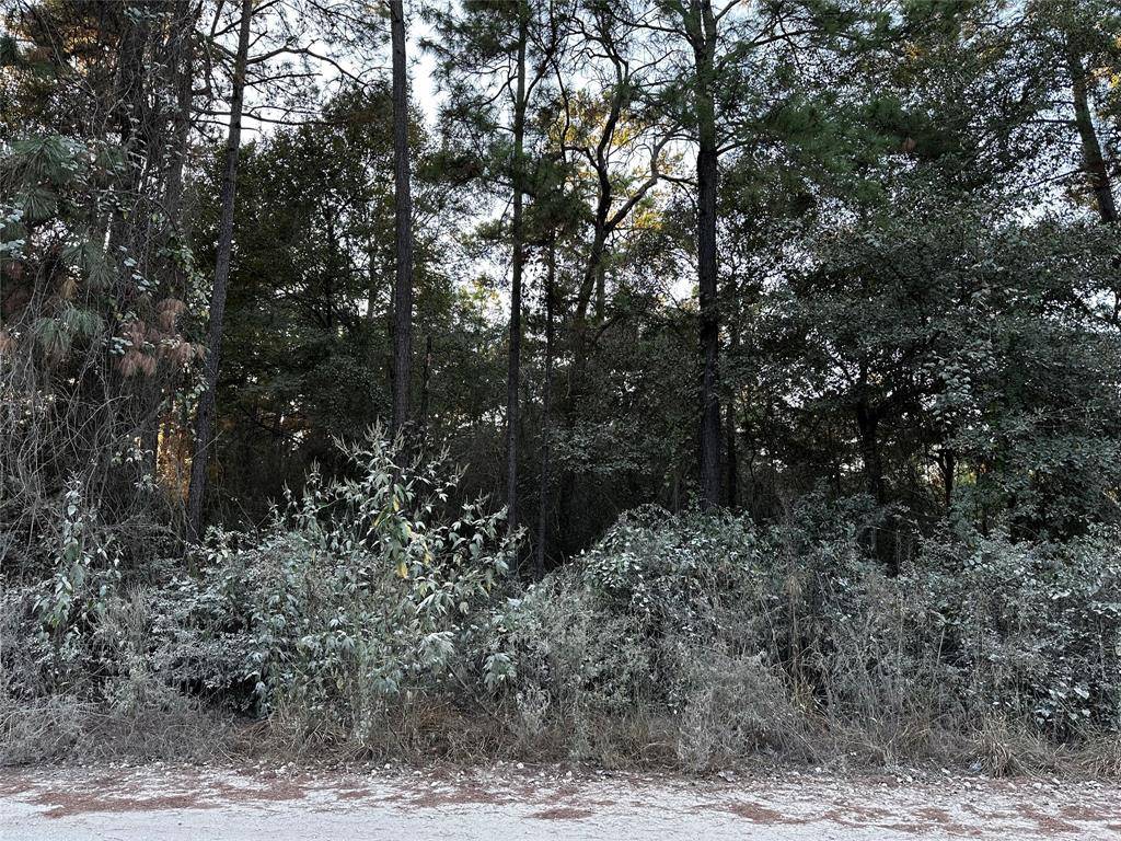 Plantersville, TX 77363,Lot 1 Live Oak DR