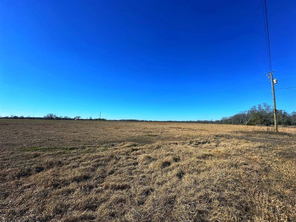 Centerville, TX 75833,Tract 2 CR 231
