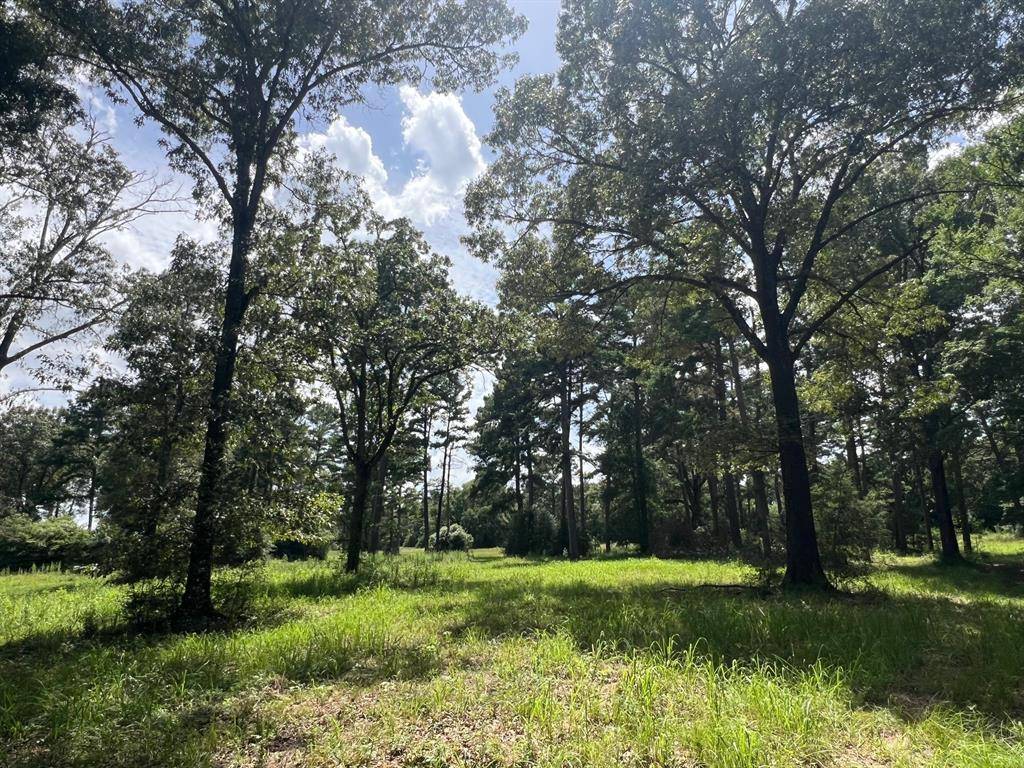 Buffalo, TX 75831,12 ac CR 212