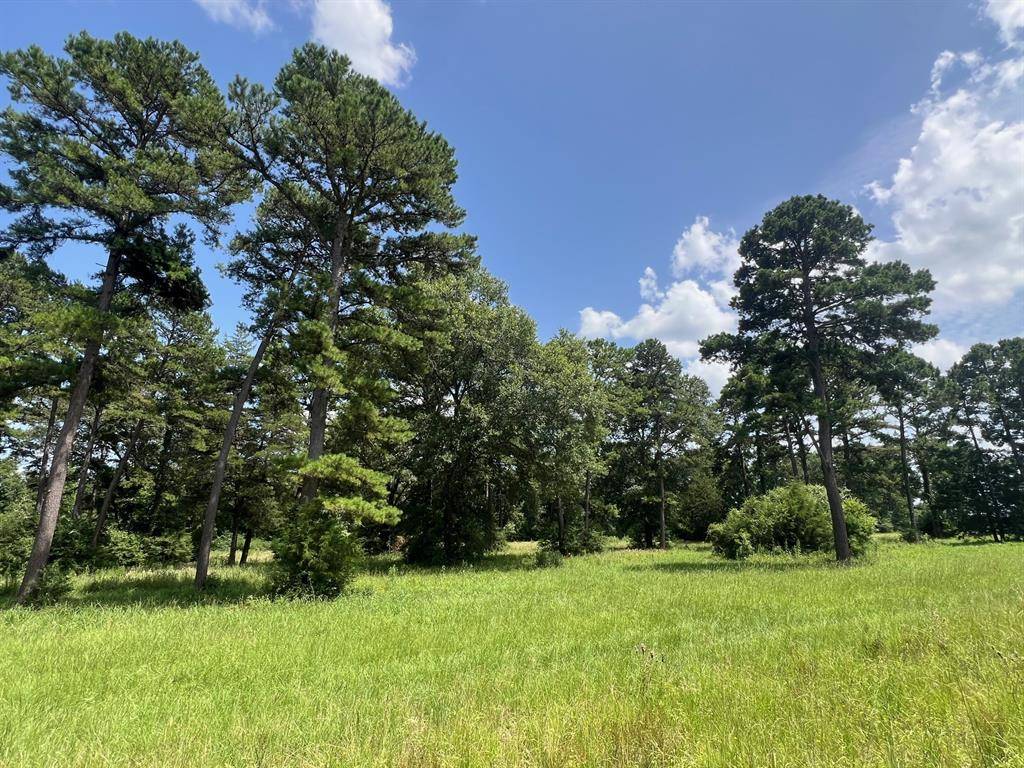 Buffalo, TX 75831,12 ac CR 212