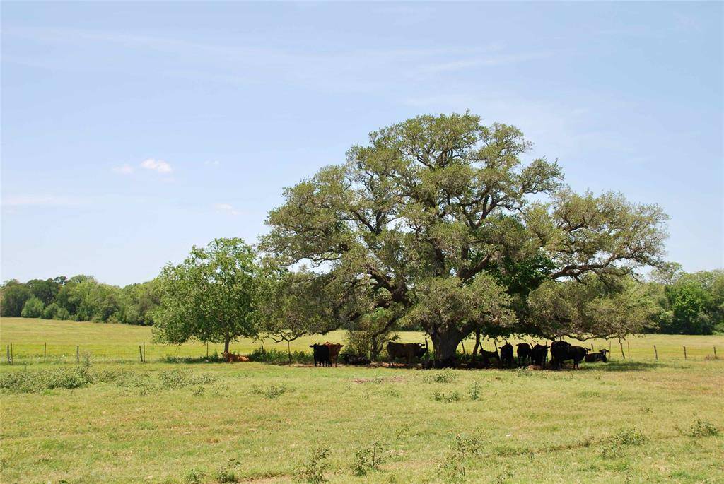 Hallettsville, TX 77964,TBD Private Road 1090