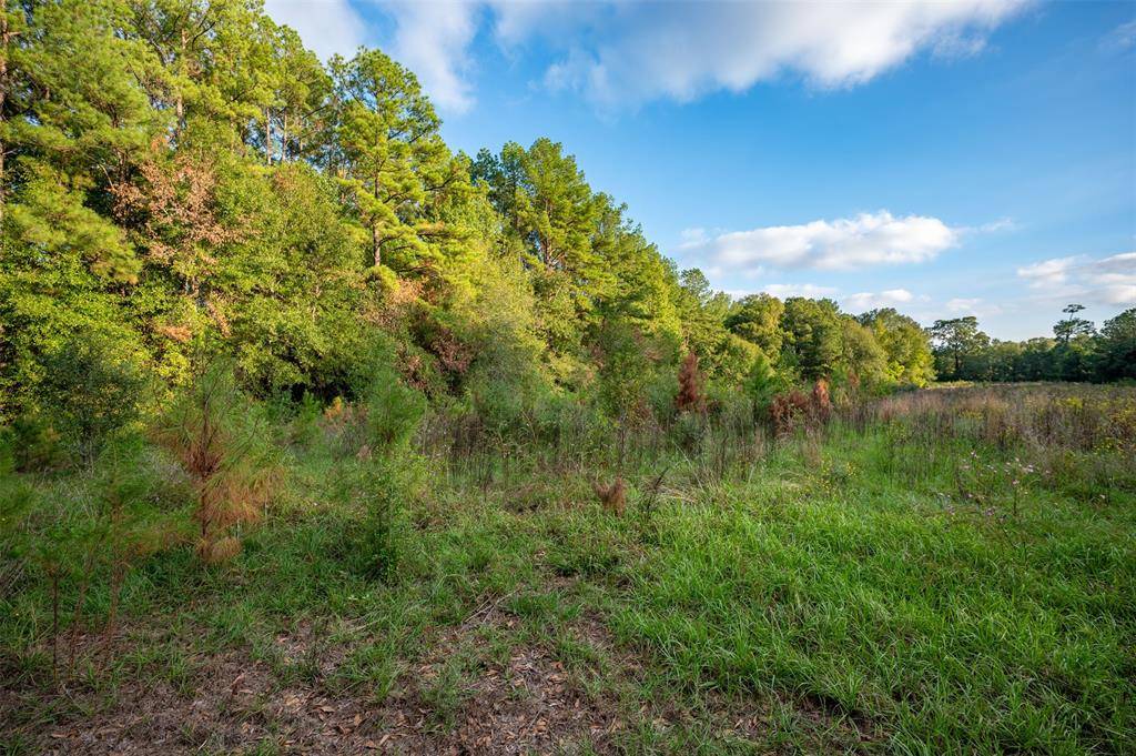 Warren, TX 77664,tbd County Rd 1520